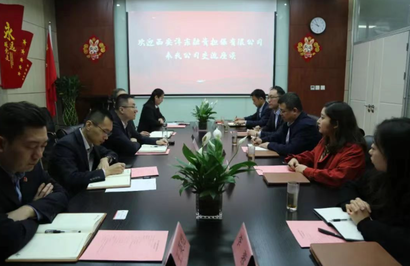 国信小贷与沣东融资担保召开业务座谈会