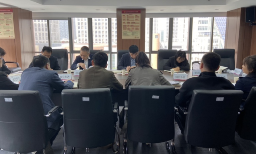 财务核算中心召开2023年外派财务负责人3月月度财务例会